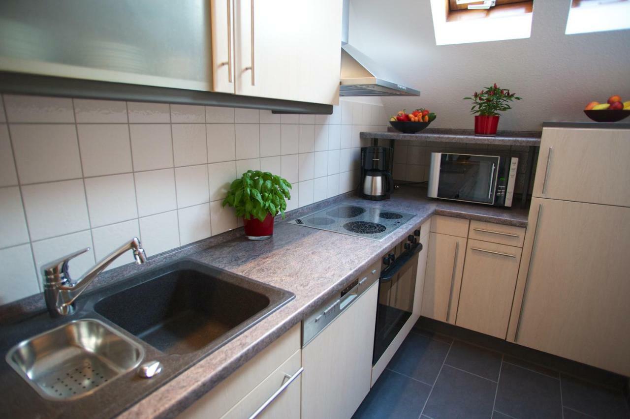 Neumann Apartment Marbach am Neckar Extérieur photo